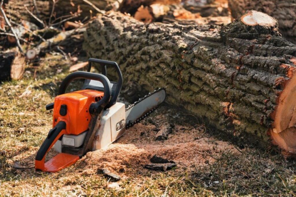 Why Tree Removal Sydney is important