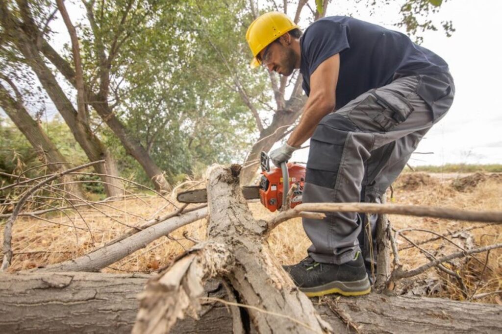 Reliable Tree Removal