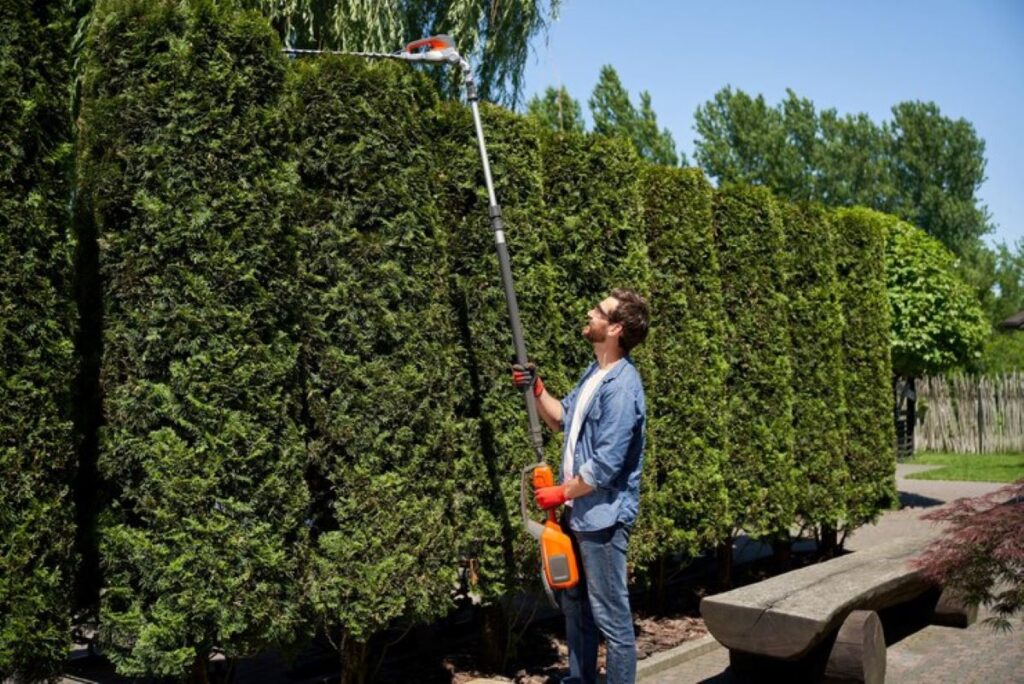 residential hedge trimming
