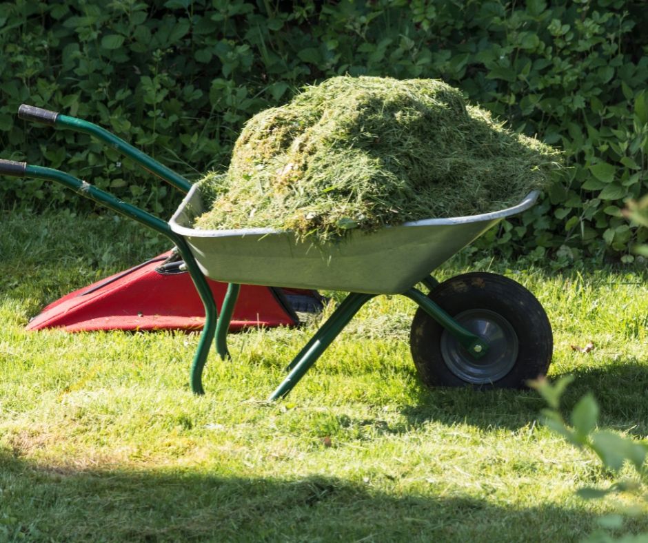 green waste removal