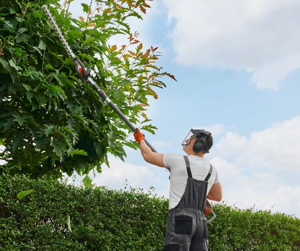 Tree Pruning