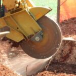 Stump Grinding