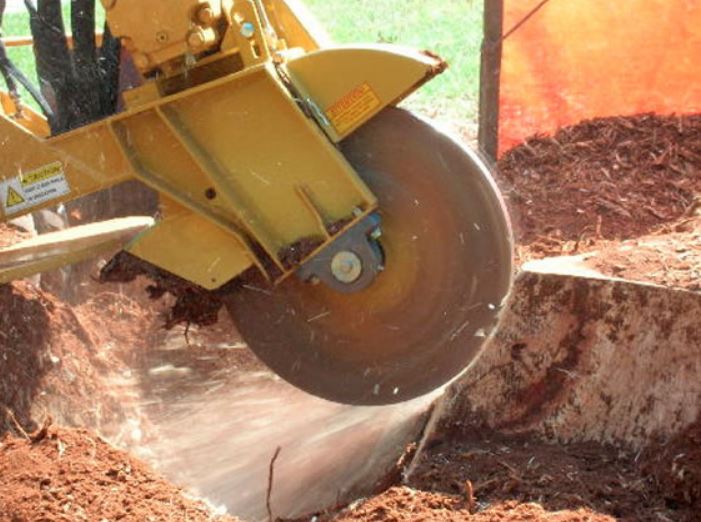 Stump Grinding